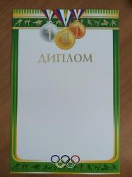 Диплом А4 РД 17099 3место