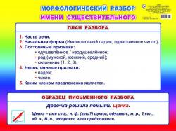 Плакат А2 00041 Морфологический разбор существительного