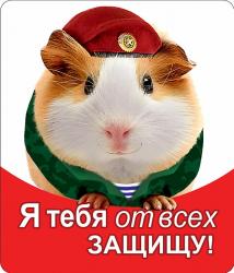 Сувенир МАГНИТ 23 Февраля Я тебя от всех защищу  15.19.00007