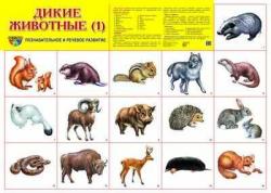 Плакат А2 Дикие животные 978-5-9949-0493-0