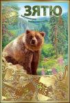 Откр.А5 ПРАЗДНИК 5300722 Зятю Откр.А5 ПРАЗДНИК 5300722 Зятю
