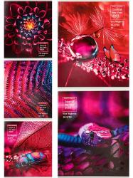 Тетрадь 48л.кл.ПП Viva magenta 48-4093