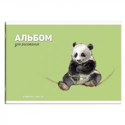 Альбом 12л.Панда 66877 Феникс