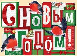 Плакат А2 НГ ИП 22.099.00 С Новым годом!