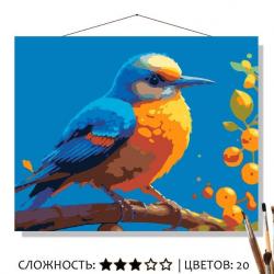 КАРТИНА по номерам КН5040865 Зарянка 50*40см