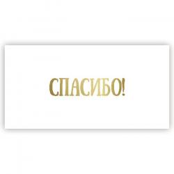 Конверт д/денег СК 5ТК-00019 Спасибо
