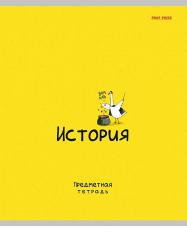 Тетрадь предм.48л офс.MINI FRIENDS-История 48-2510 ПП