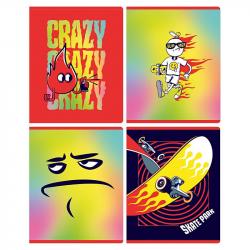 Тетрадь 48л.кл.БД Crazy Т5ск48 12273
