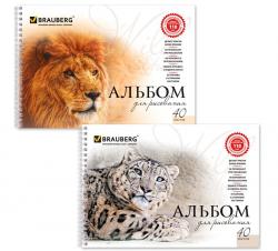 Альбом 40л.гребень Благородные кошки 102831 BRAUBERG