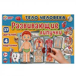Игра разв. ТЕЛО ЧЕЛОВЕКА с липучками в кор. 4680107930538