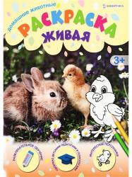 Раскраска А4 ДОМАШНИЕ ЖИВОТНЫЕ 8л. Р-0099 Проф-Пресс
