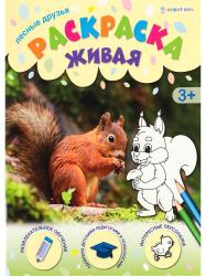 Раскраска А4 ЛЕСНЫЕ ДРУЗЬЯ 8л. Р-0097 Проф-Пресс