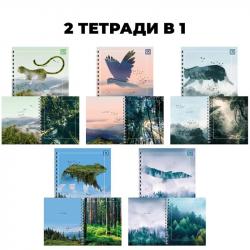 Тетрадь 96л.кл.на греб.КЭ Тайны ТСЛ968859 двойная облож.