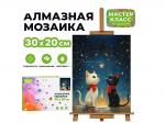 КАРТИНА-МОЗАИКА АЛМАЗНАЯ MKA3020-6 Два кота под звездным небом 20*30 (полная выкл.)