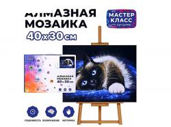КАРТИНА-МОЗАИКА АЛМАЗНАЯ MKA4030-93 Голубоглазая кошечка 30*40 (полная выкл.)